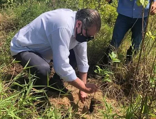 Mutirão de Reflorestamento Recupera Nascentes na Zona Rural